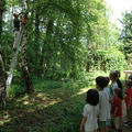 Az odúk ellenőrzését érdeklődve figyelték a gyerekek.