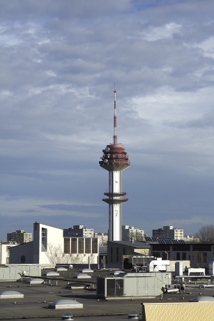 A TV és rádió átjátszó tornyokon is gyakran találnak megfelelő fészkelőhelyet (Szeged). ::: Fotó: Orbán Zoltán
