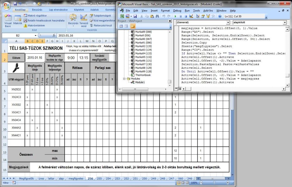 Az MS Excel-ben a VBA szkript lefuttatásakor az adatlap tartalma bekerül két adattáblába.