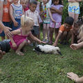 A gyerekeknek egy életre szóló élmény közel kerülni egy kis gólyához. - Timár, Szabadság utca 14.