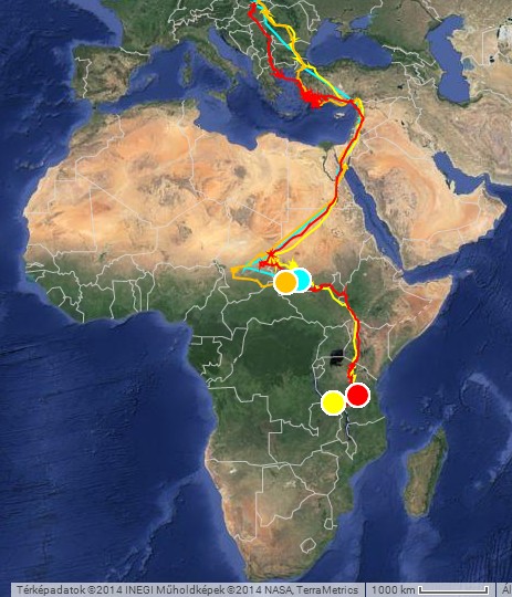 A négy aktív jeladós fehér gólyánk útvonala és aktuális helyzete ::: 2014.03.23. (forrás: satellitetracking.eu)