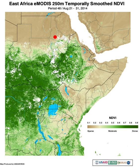 Kelet-Afrika 2014. augusztus 21-31. közötti időszakra vonatkozó eMODIS NDVI áttekintő térképét láthatjátok. Piros pöttyel jeleztem, hogy hol tartózkodott ebben az időszakban Picur (2014. aug. 31. - szept. 04. között). Ott álltak meg először több napos pihenőre vonulásuk során. Főként az látszik, hogy még a nagy zöld területek (ahol jelentős most a területet takaró növényzet fajlagos klorofill tartalma) előtt álltak meg. Forrás: USGS - FEWS NET Africa Data Portal